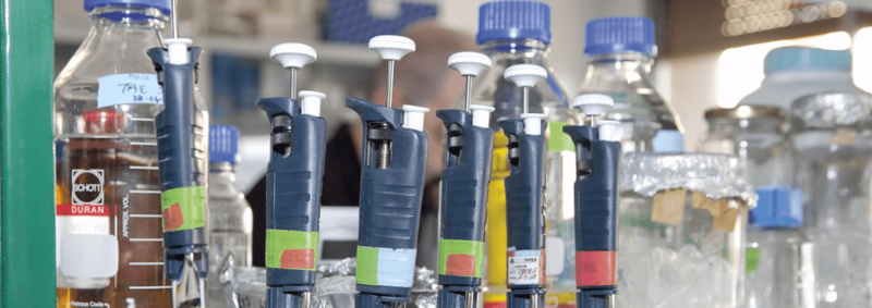 Imagen de archivo de unas pruebas de diagnóstico de viruela del mono / TA